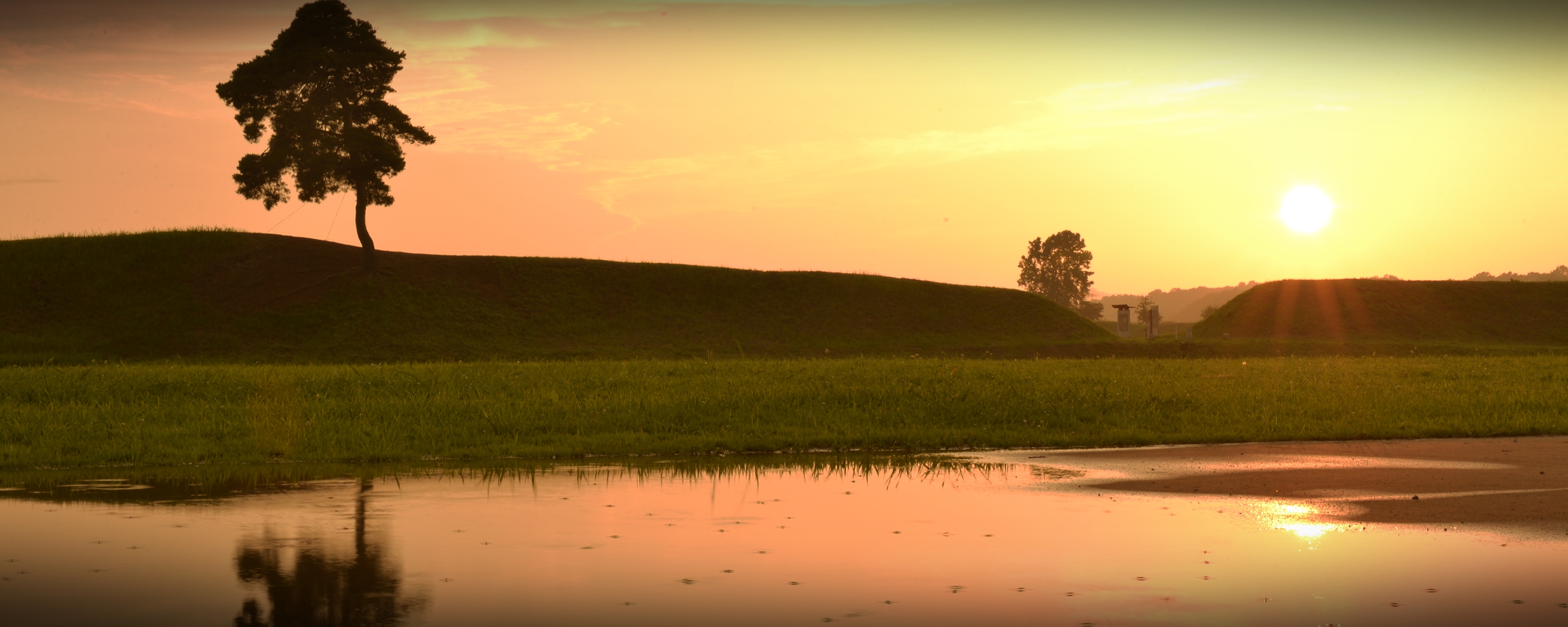 Film Friendly, Korea